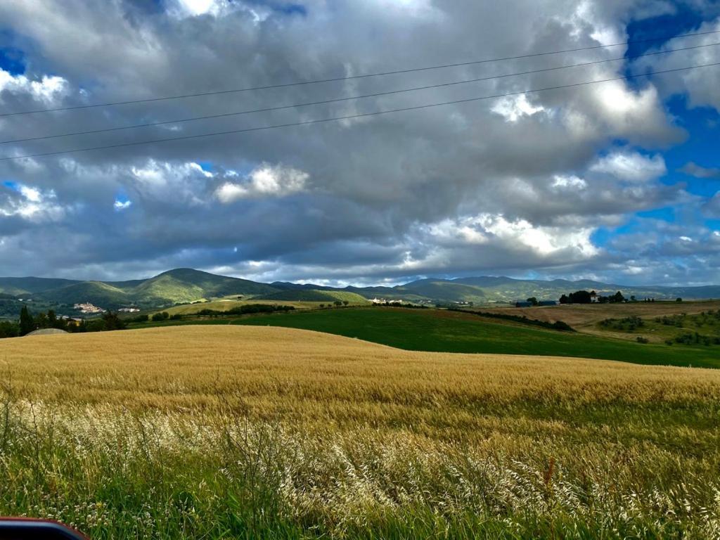 Podere Il Mulino Pieve di Santa Luce エクステリア 写真
