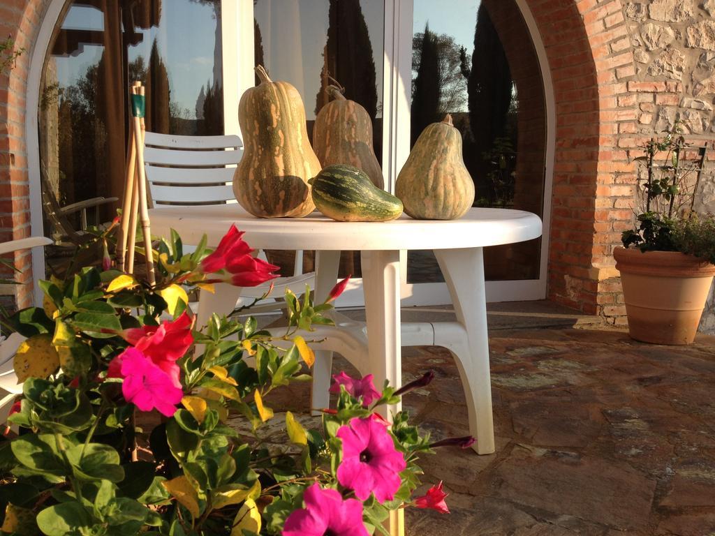 Podere Il Mulino Pieve di Santa Luce エクステリア 写真
