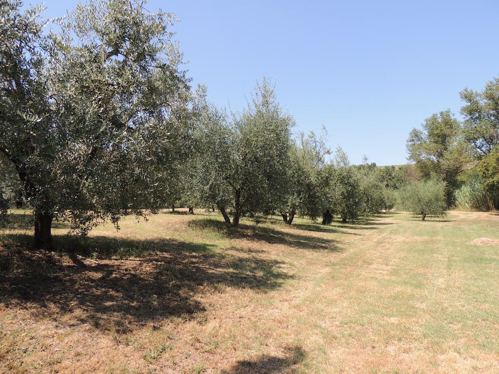 Podere Il Mulino Pieve di Santa Luce エクステリア 写真