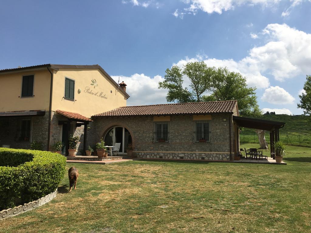 Podere Il Mulino Pieve di Santa Luce エクステリア 写真